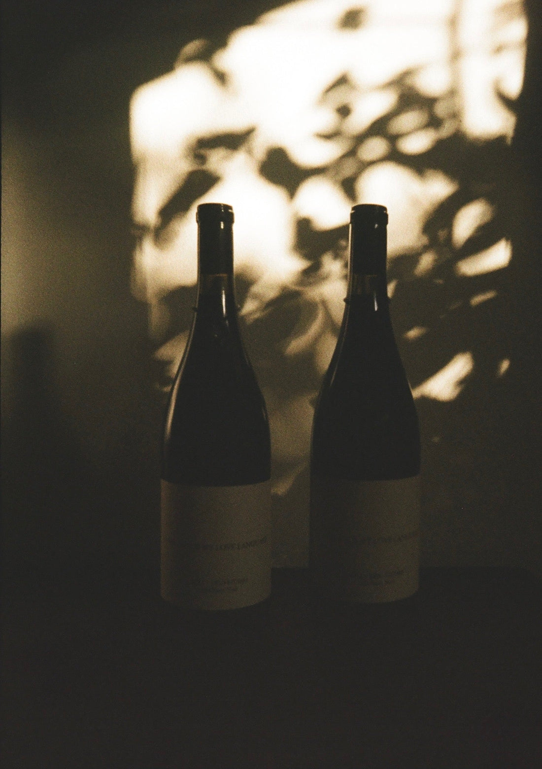 LIFE LATELY: NOVEMBER